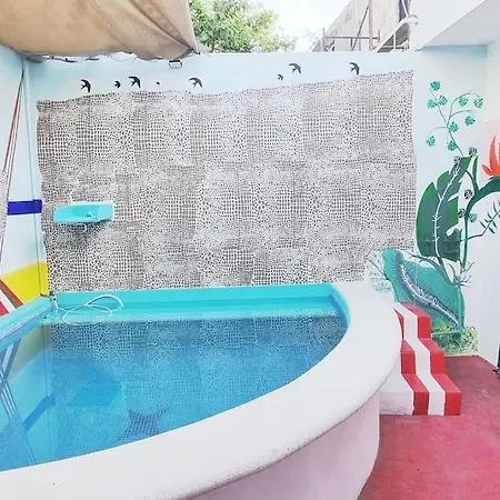 Splash Into Paradise !